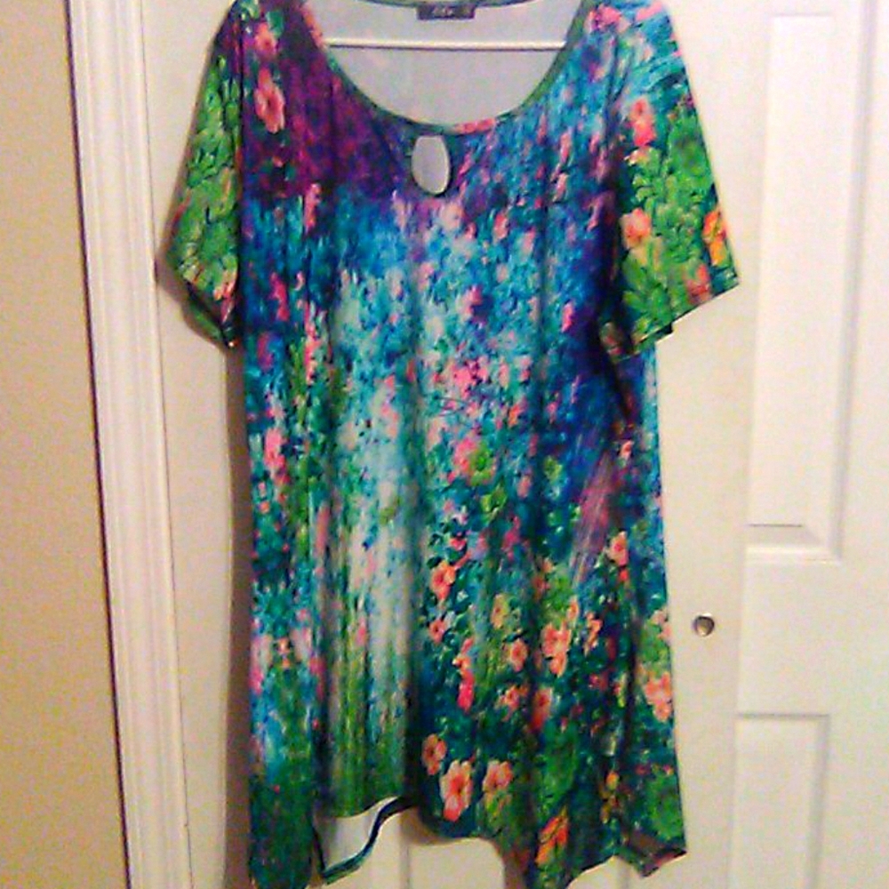 Tunic Top
